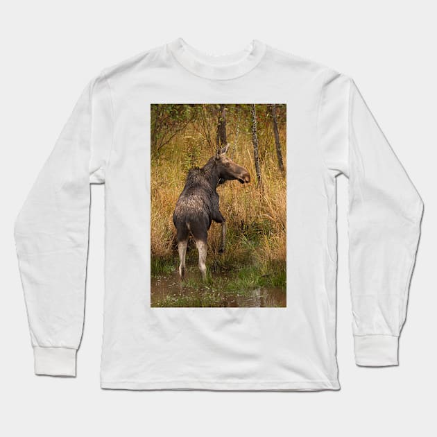 I'm outa here - Moose, Algonquin Park, Canada Long Sleeve T-Shirt by Jim Cumming